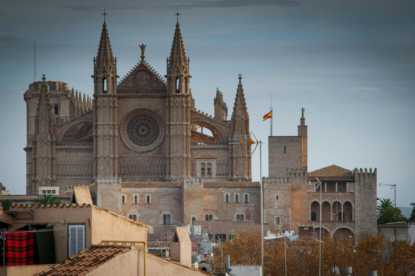 Spanish VAT Registration