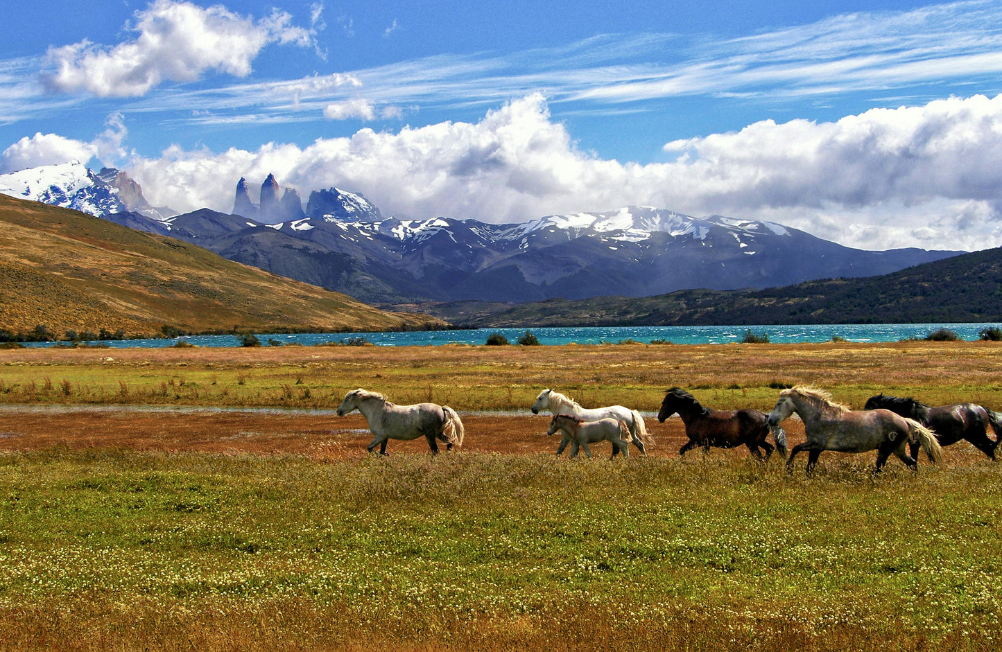 Chilean trademark