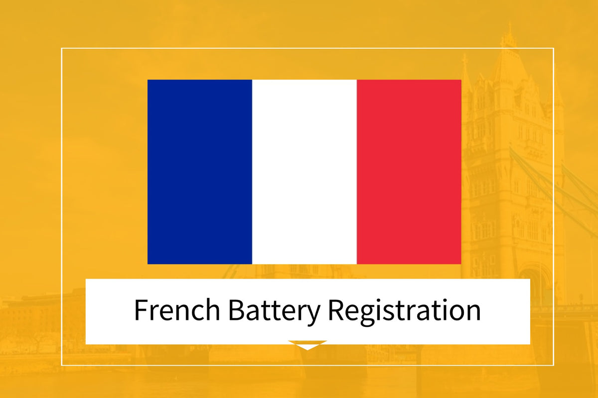 French Register French Battery Registration – Amber